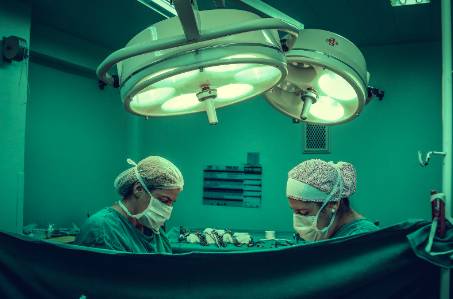 transplant pig hearts into infants