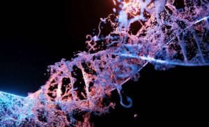 automated machine learning for biology research