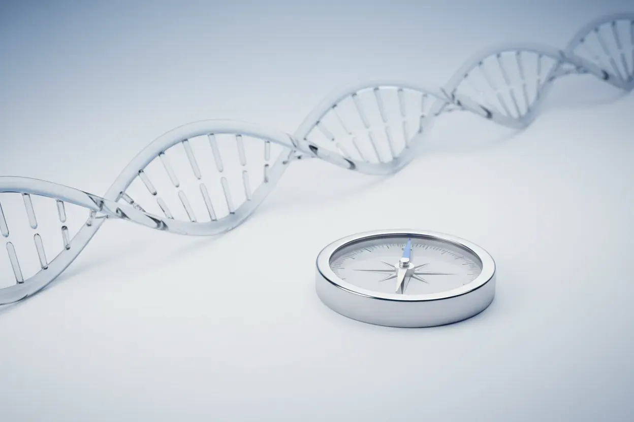 Stainless-steel compass with soft blue backdrop and a translucent DNA helix behind it, symbolizing navigating biotech regulations.