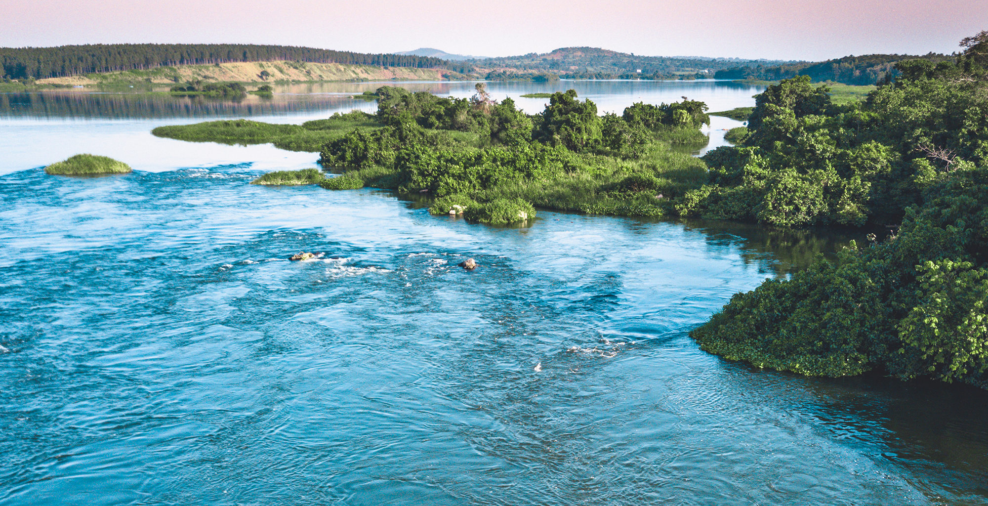 Water and green islands in Uganda near Lake Victoria